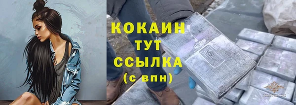 прущие грибы Армянск