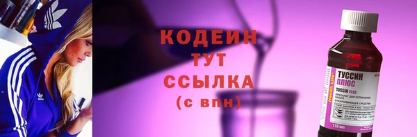 прущие грибы Армянск