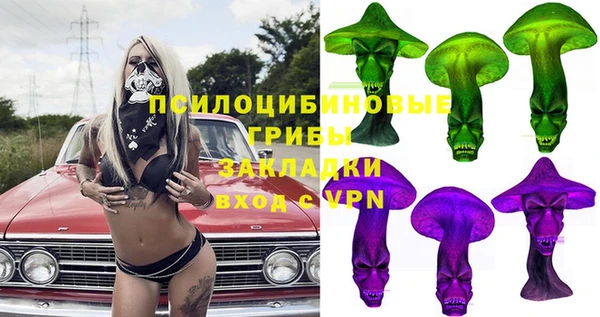 хмурый Арсеньев