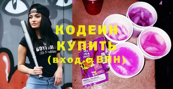 хмурый Арсеньев