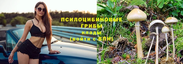 мескалин Новозыбков