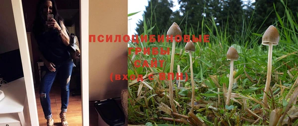 прущие грибы Армянск