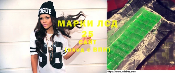 хмурый Арсеньев