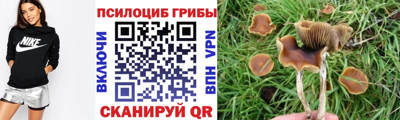 где купить наркоту  ОМГ ОМГ маркетплейс  Псилоцибиновые грибы мицелий  Правдинск 